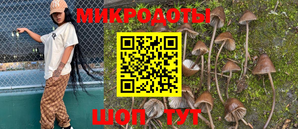 Псилоцибиновые грибы мухоморы Сатка